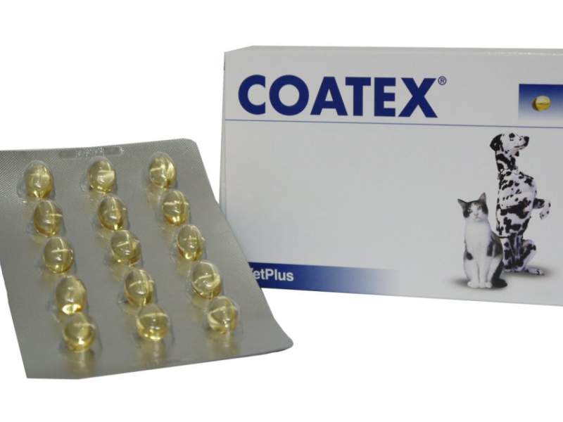  Coatex - Tienda de animales La Gloria