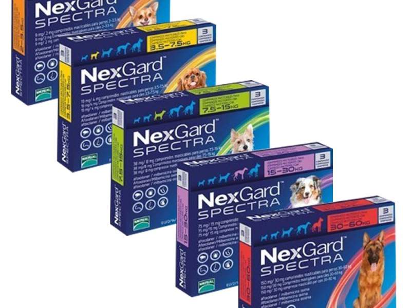  Nexgard Spectra - Tienda de animales La Gloria