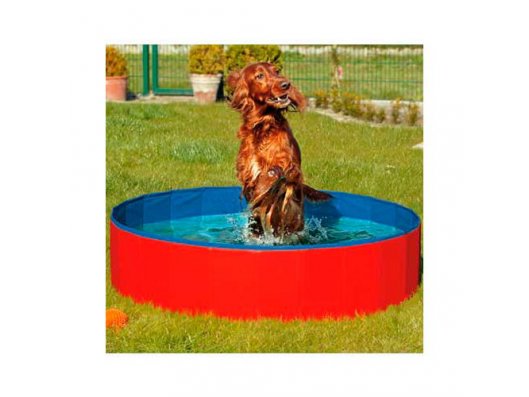  Piscina para perros - Tienda de animales La Gloria